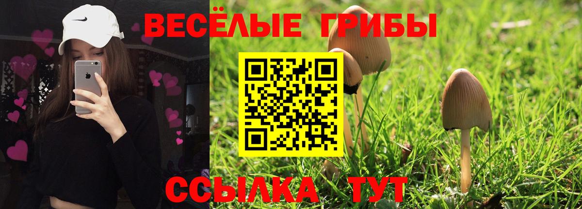 Галлюциногенные грибы ЛСД Верхняя Салда
